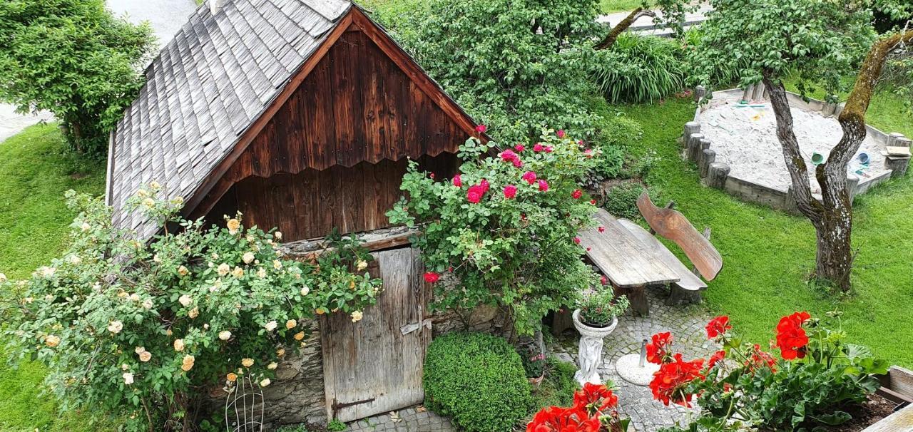 Apartment Fenzhof Schladming