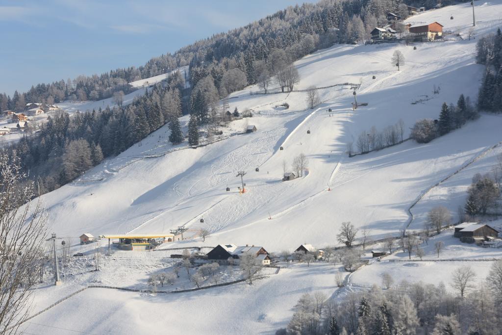 Fenzhof * Schladming