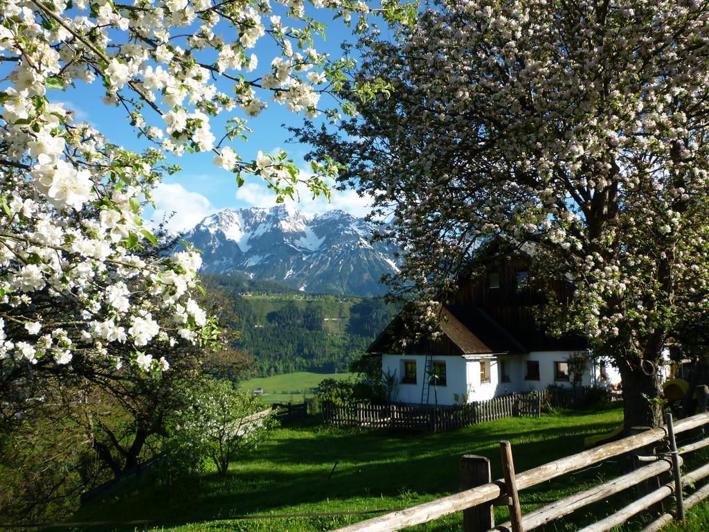 Fenzhof Appartement
